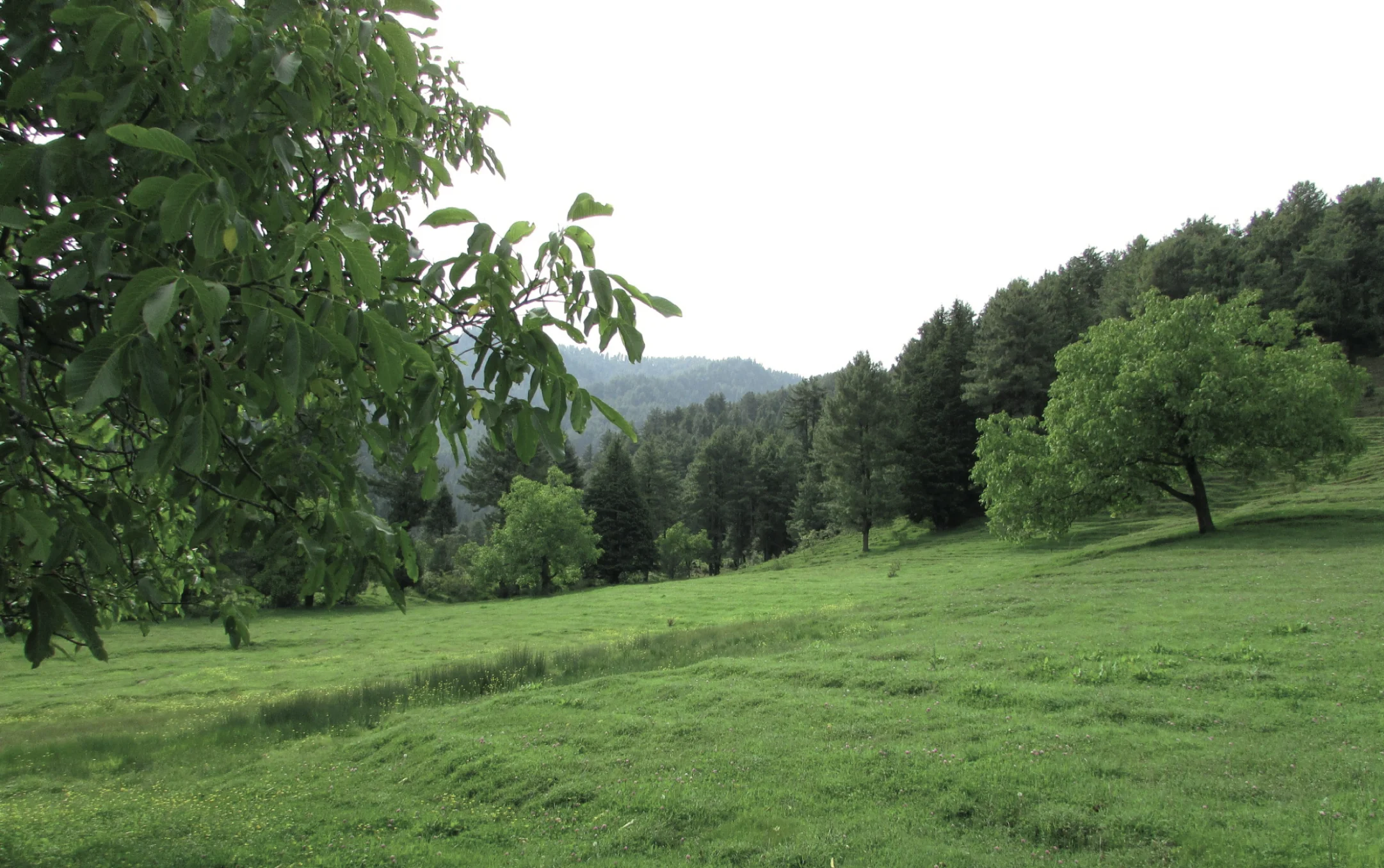 Kashmir Tourism - Scenic Landscape