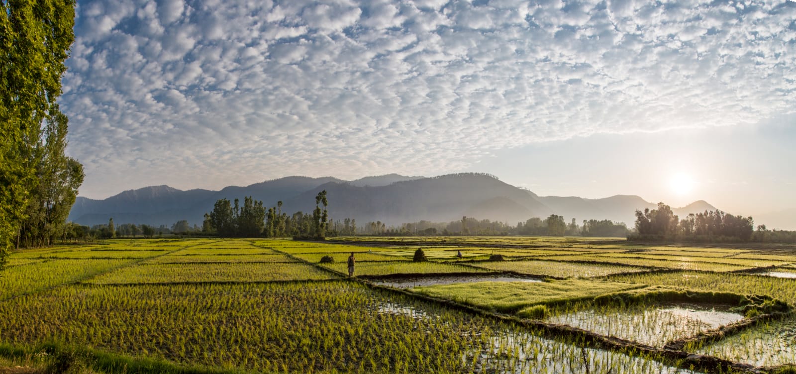 Kashmir Tourism - Slide 4